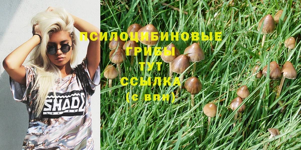 2c-b Костерёво