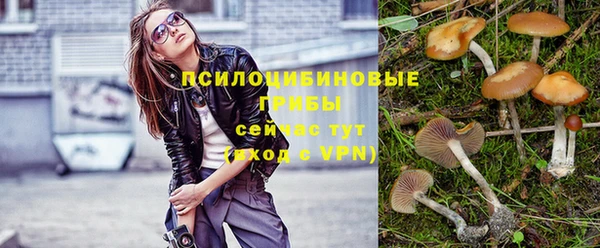 хмурый Краснотурьинск