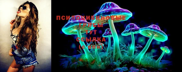 хмурый Краснотурьинск